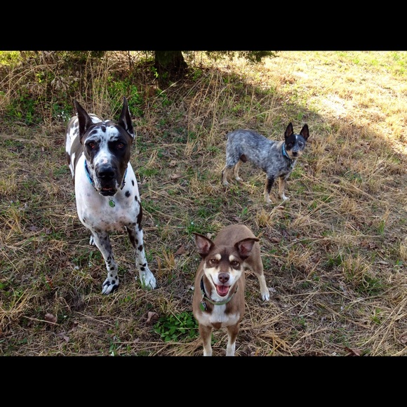 Hello! - Picture 4 of 4