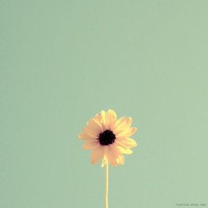 Meet your Posher, Jessie