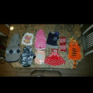 Pet clothing