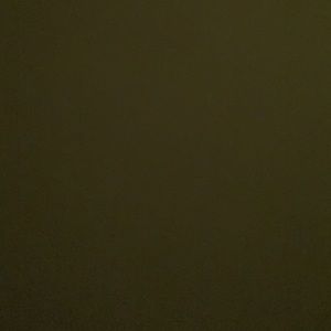 Meet your Posher, Skyla