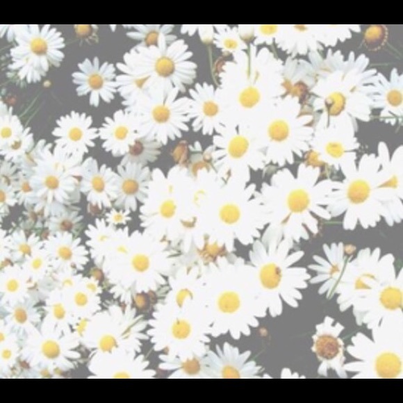 Meet your Posher Alex