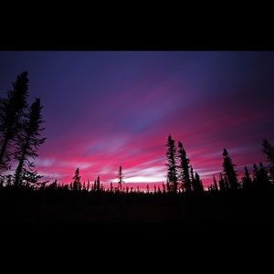 Meet your Posher, Alexa