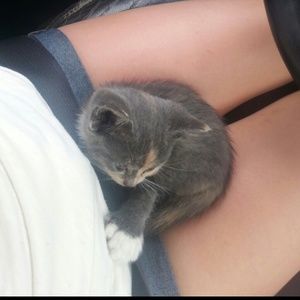 Meet your Posher, Brandi