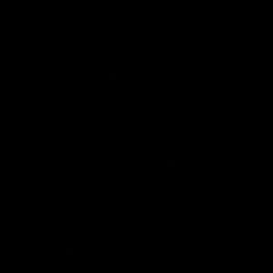 Meet your Posher, Natty