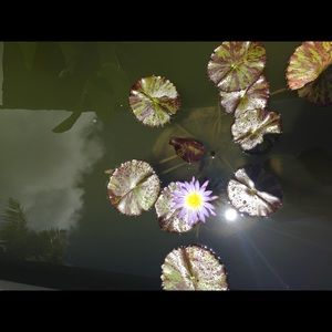 Meet your Posher, Bobbi