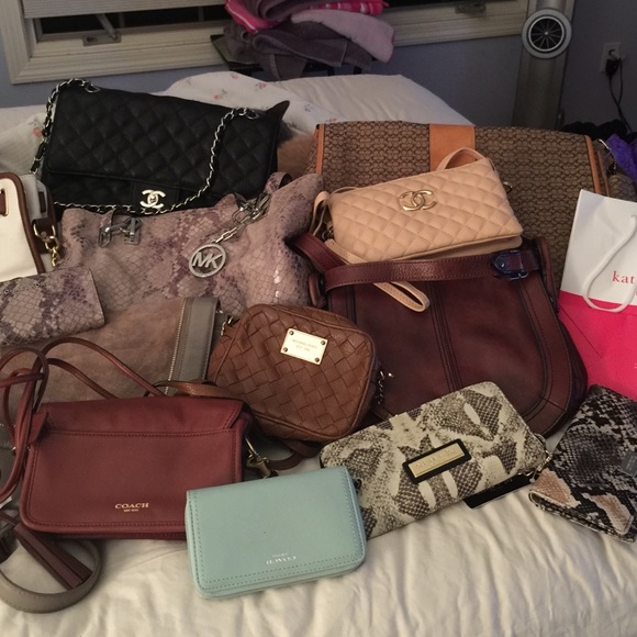 My Beautiful Collection! 🎀 - Picture 3 of 4
