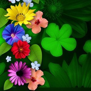 Meet your Posher, Hanna