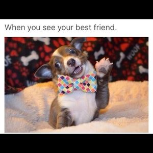 Meet your Posher, Ashley