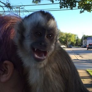 Meet your Posher, Katherine