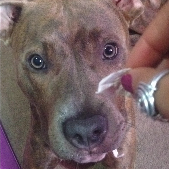 Meet your Posher, Jas - Picture 4 of 4