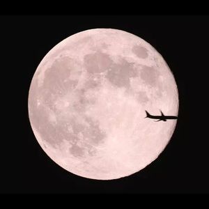 Meet your Posher, Man chen