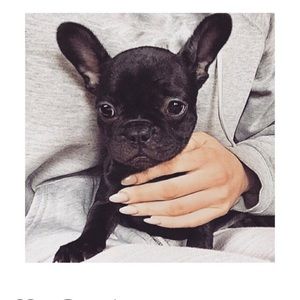 Meet your Posher, Zoe