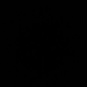 Meet your Posher, Sidney