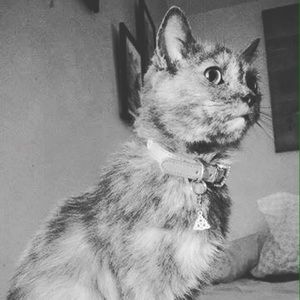 Meet your Posher, Kasey