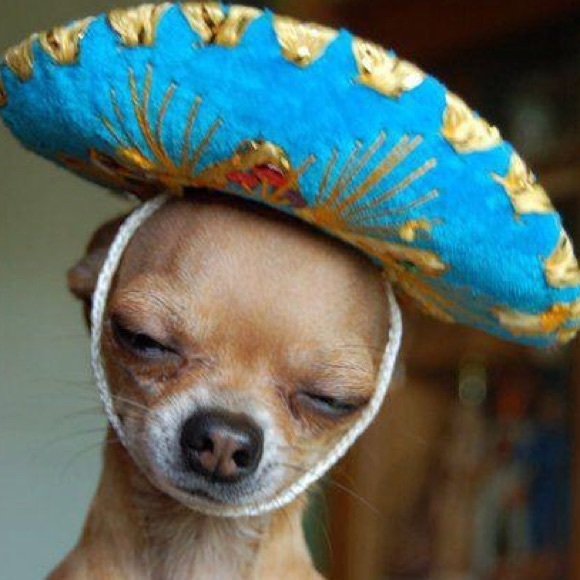 Meet your Posher, R - Picture 1 of 1