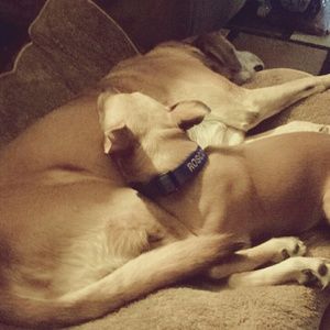 JUST A FEW OF MY FAVORITE THINGS ????