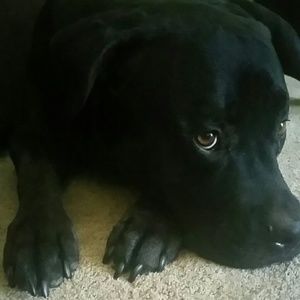 Meet your Posher, Brianna