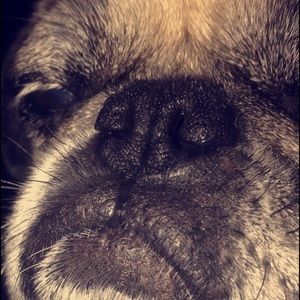 Meet your Posher, Zoe