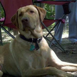 Meet your Posher, Eric