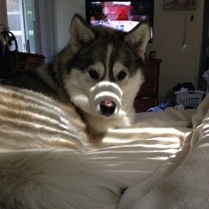 Meet your Posher, Margie