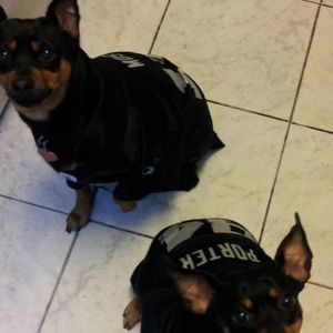 Meet your Posher, Denise baker