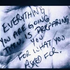 Meet your Posher, Willie