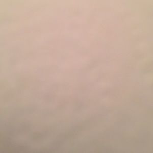 Meet your Posher, Sylvia