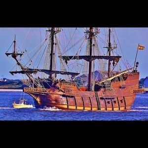 Meet your Posher, Barb