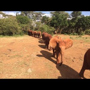 Meet your Posher, Michele