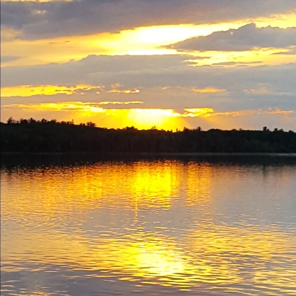 Meet your Posher, Shelby