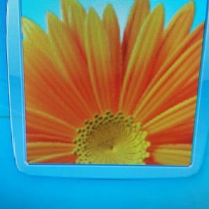 Meet your Posher, Roni