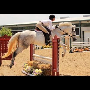 Meet your Posher, Savannah