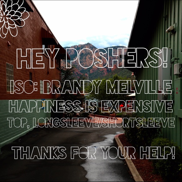 ISO: brandy Melville happiness is expensive
