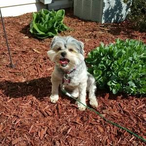 Meet your Posher, Kerry