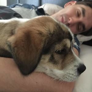 Meet your Posher, A.c.