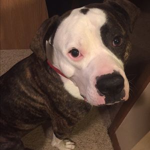 Meet your Posher, Colby