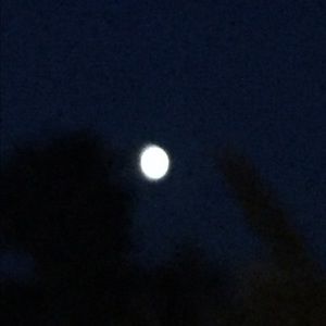 Meet your Posher, Steven