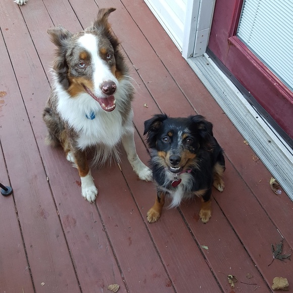 Meet your Posher, Alisa - Picture 7 of 8