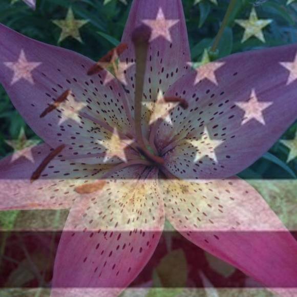 Meet your Posher, Angie