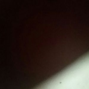 Meet your Posher, Tabi