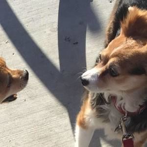 Meet your Posher, Brian