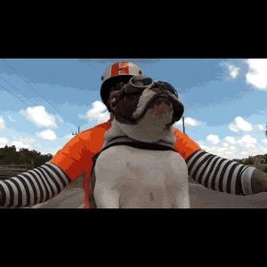 Meet your Posher, James