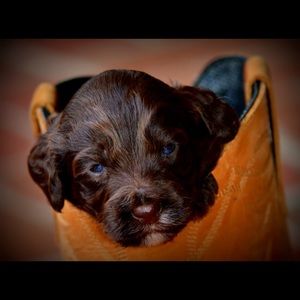 Meet your Posher, Rebecca