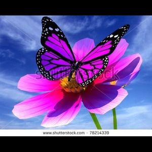 Meet your Posher, Jacquelyn