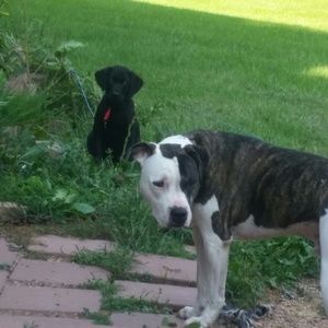 Meet your Posher, Courtney