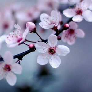 Meet your Posher, Brianne