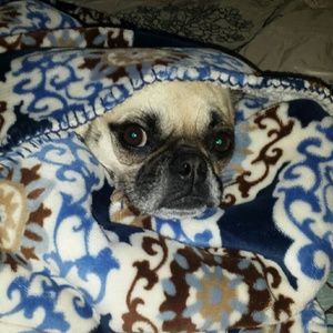 Meet your Posher, Jaclyn