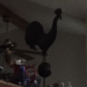 Meet your Posher, Ron