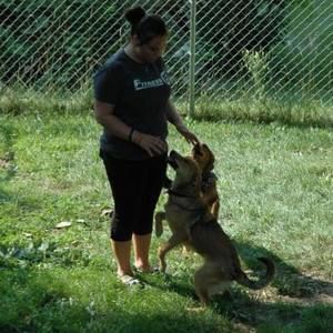 Meet your Posher, Ariel