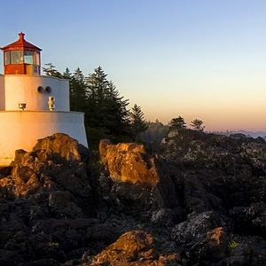 Meet your Posher, Jayme